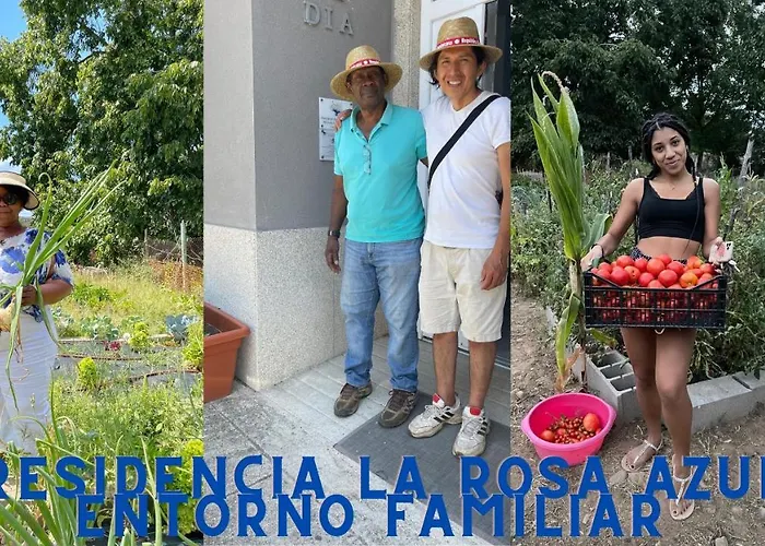 La Rosa Azul Rooms-grupo Rosa Azul * Ponferrada