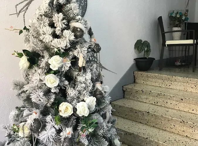 La Rosa Azul Rooms-grupo Rosa Azul Ponferrada